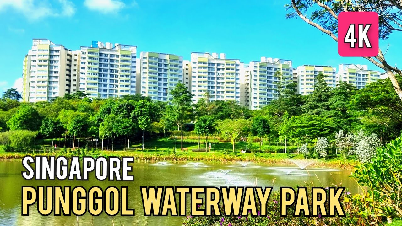 Singapore Punggol Waterway Park | Lorong Halus to Jewel Bridge