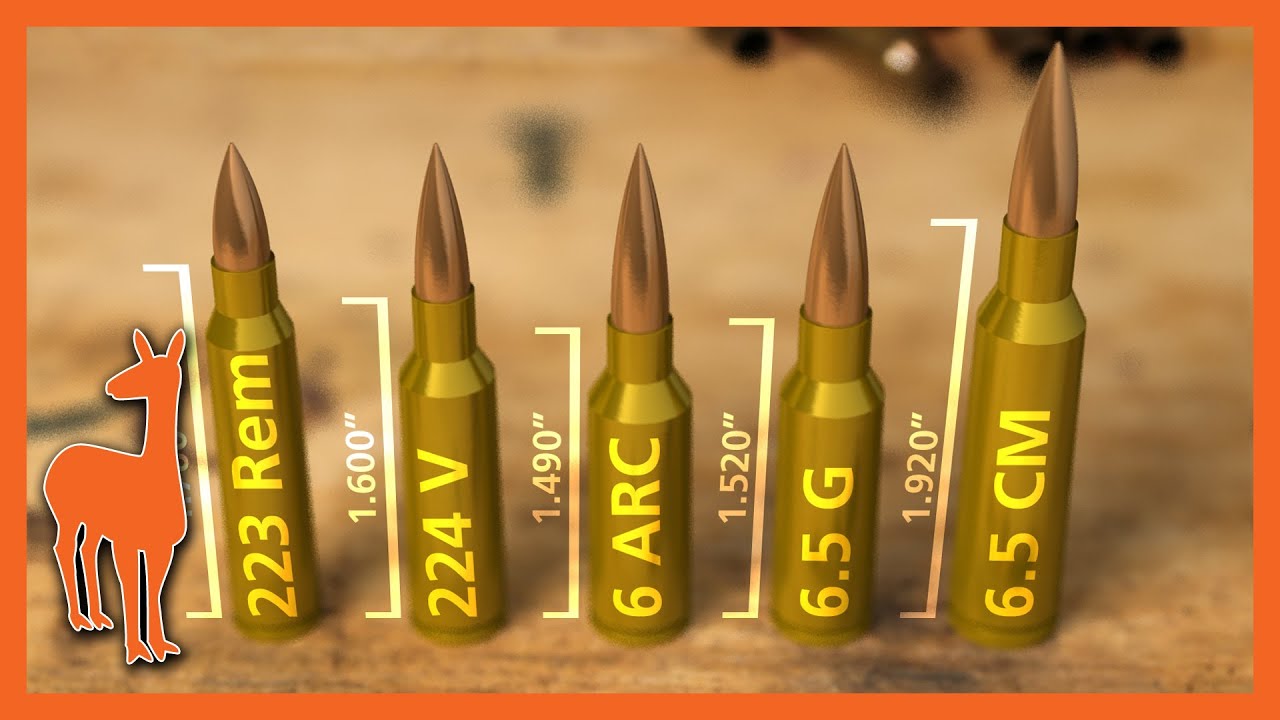 6mm ARC vs the WORLD - Is Hornady's New Cartridge Unique?