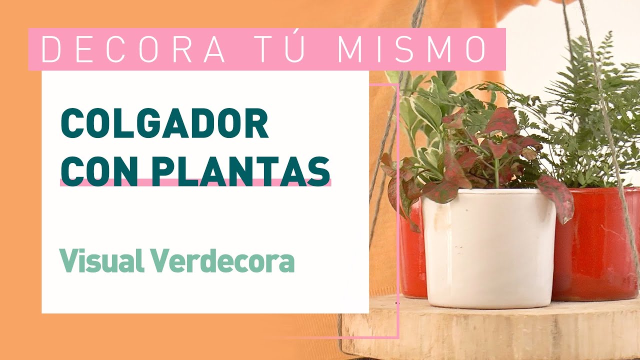 C&oacute;mo hacer un macetero colgante de cuerda | Verdecora