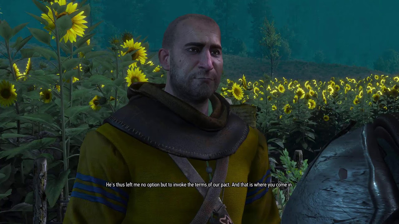 Witcher 3 -  DLC First Time