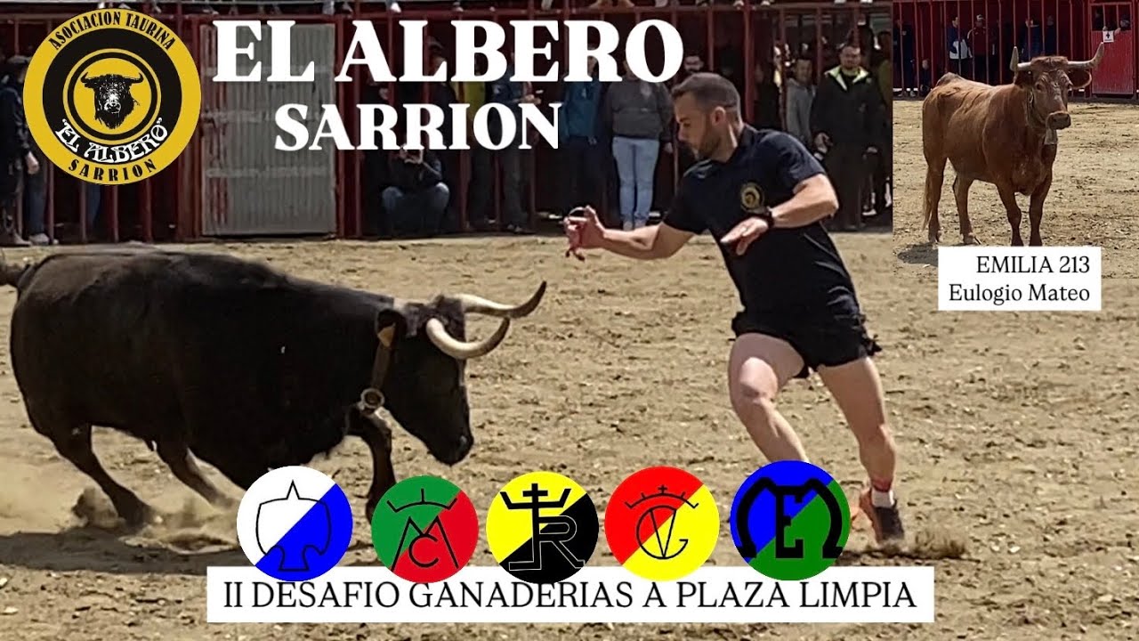 SARRION - EL ALBERO (26/04/23) II DESAFIO DE GANADERIAS A PLAZA LIMPIA