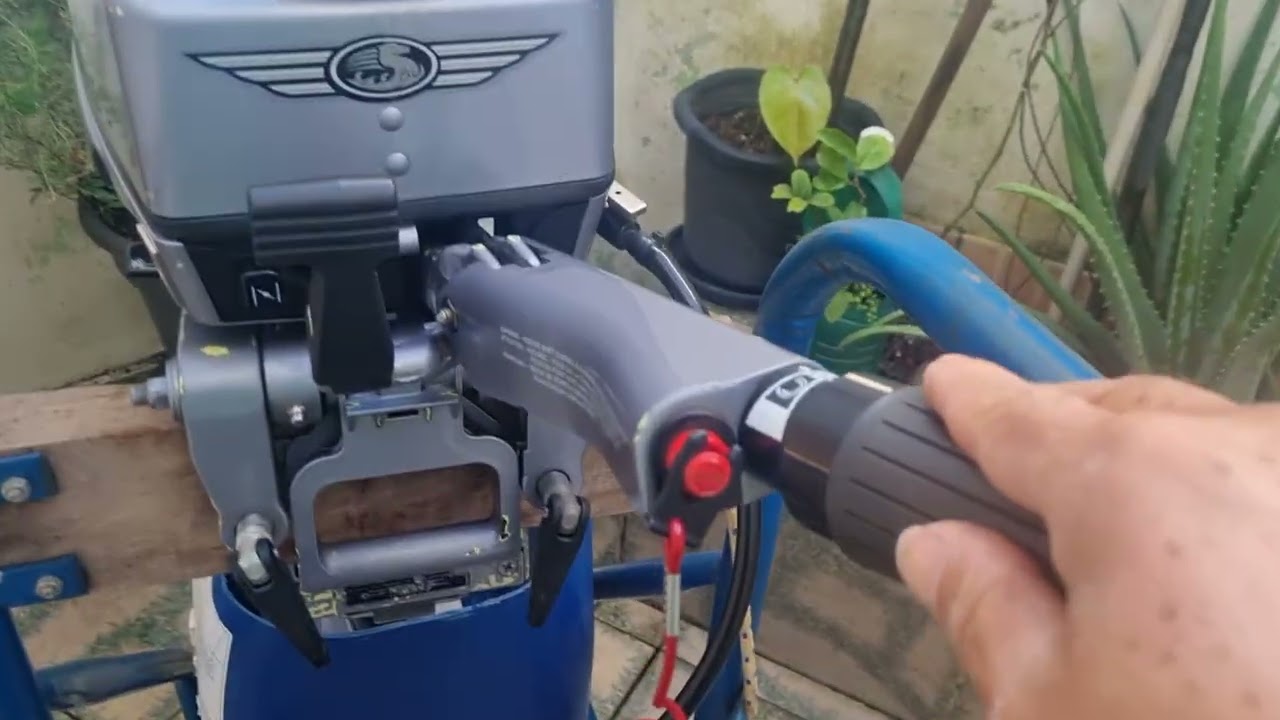 Johnson 15 hp ano 2000 