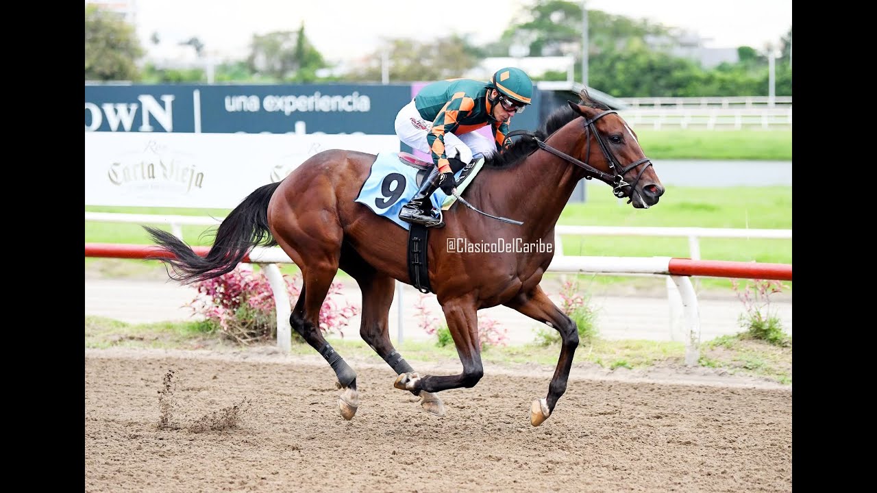 UPSTANDING - Copa Invitacional De Importados 2025 - Carrera y Premiación