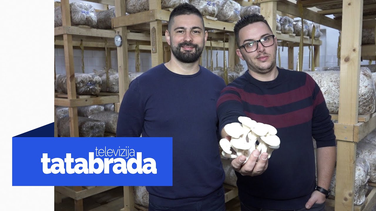 Posao u kojem nema šefa: 3 prijatelja pokrenula biznis u vrijeme pandemije - tatabrada.tv