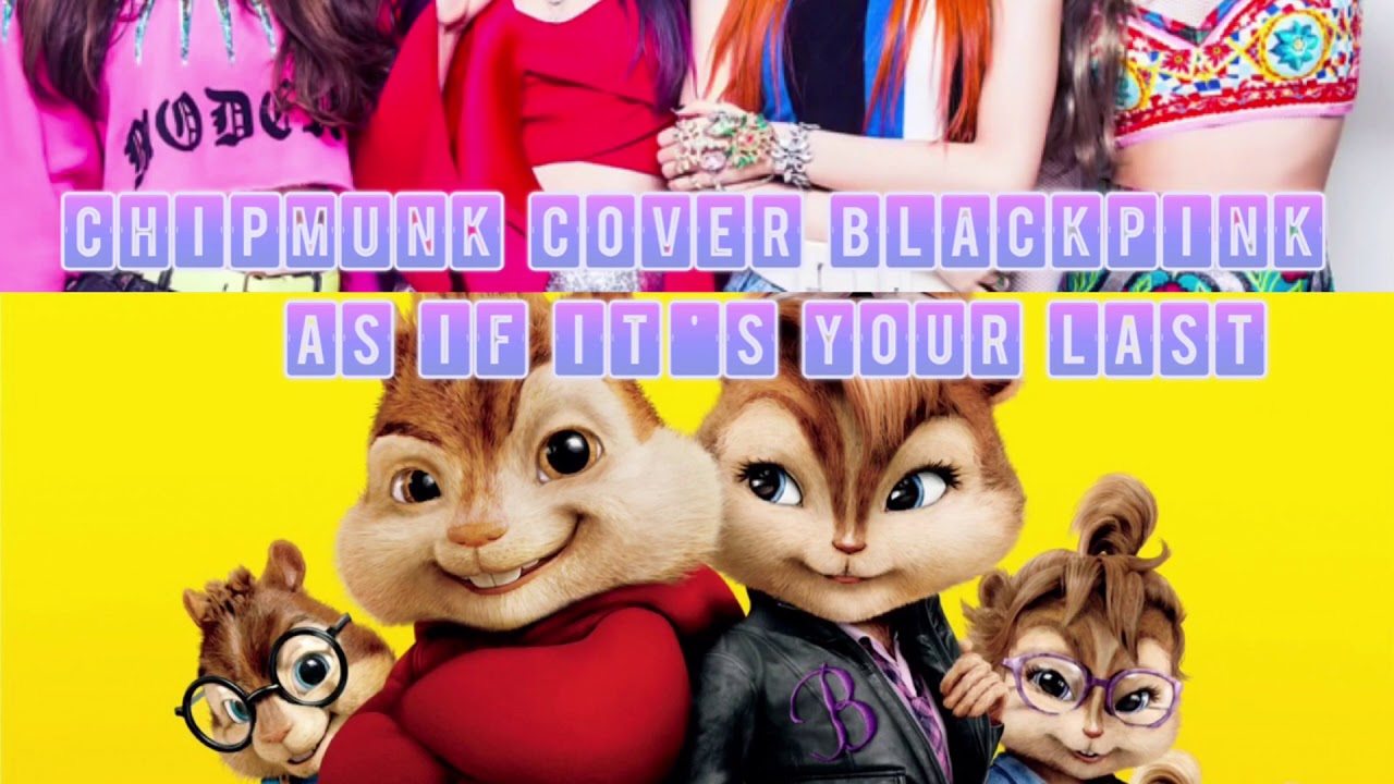 Chipmunk cover blackpink  music 🎶 as if it's your last