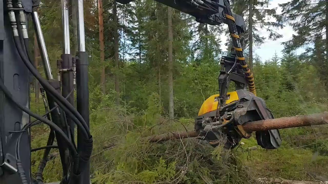 Ponsse Beaver H53e, HN125