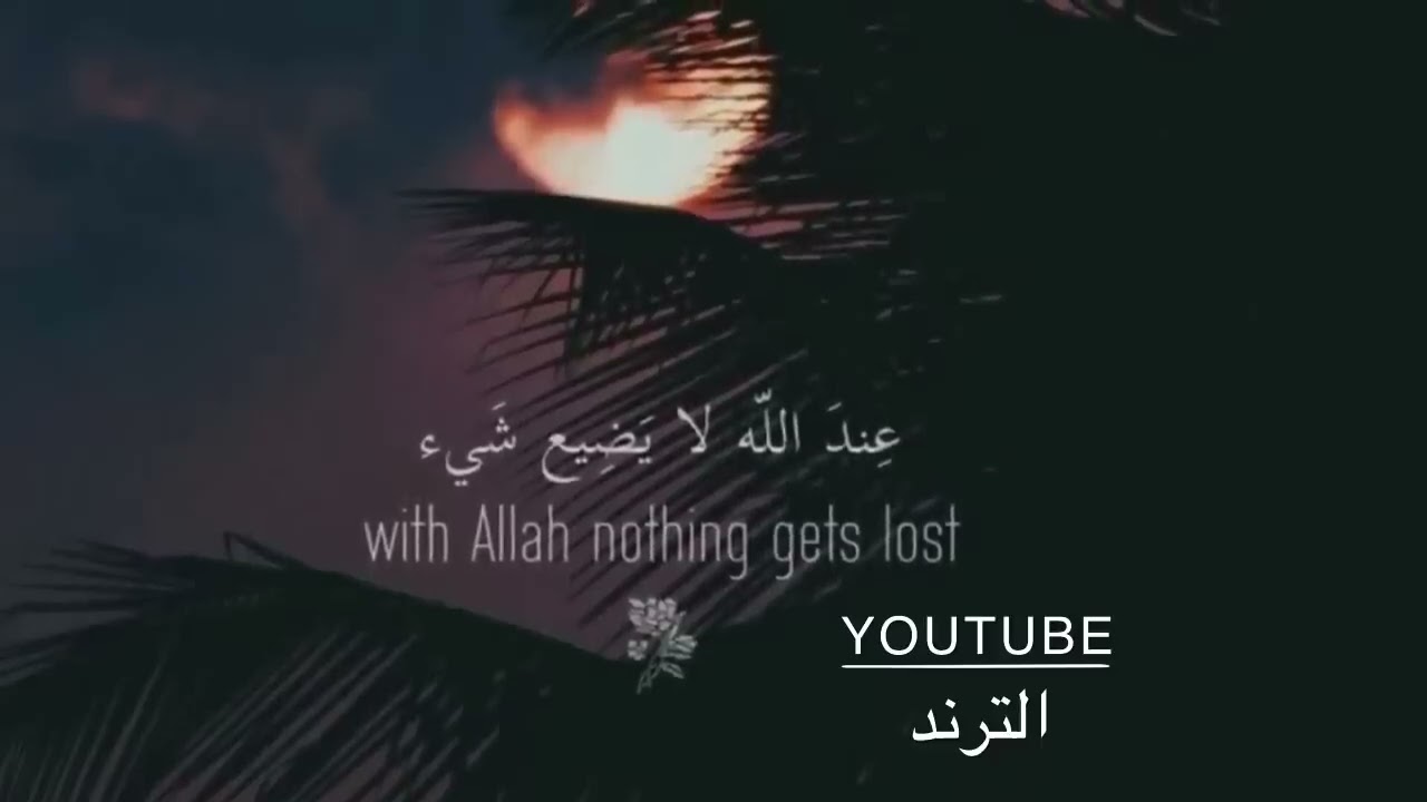 تلاوة قرآنية مصرية مؤثرة تريح القلوب 💖 | Egyptian Quran Recitation 