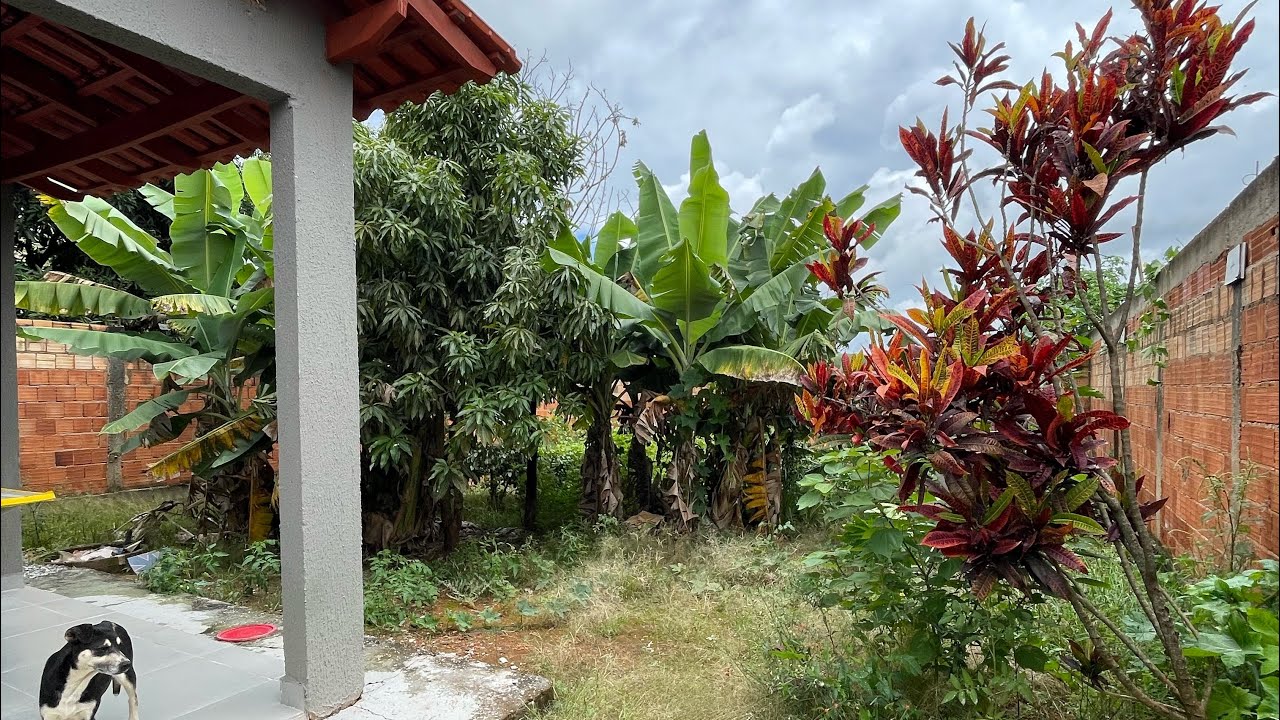 Casa sozinha no lote em Águas Lindas com quintal grande R$ 175.000,00 Financia até 100% 