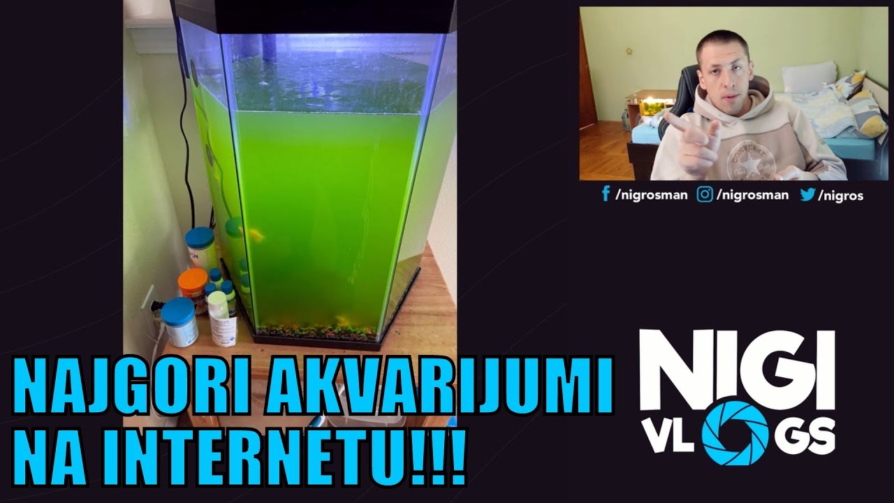 Najgori Akvarijumi na Internetu - Kako NE TREBA držati ribice?! #akvaristika