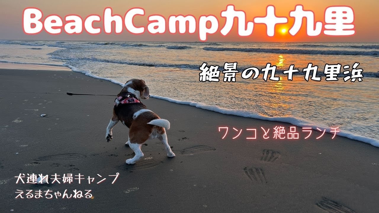 ビーチキャンプ99