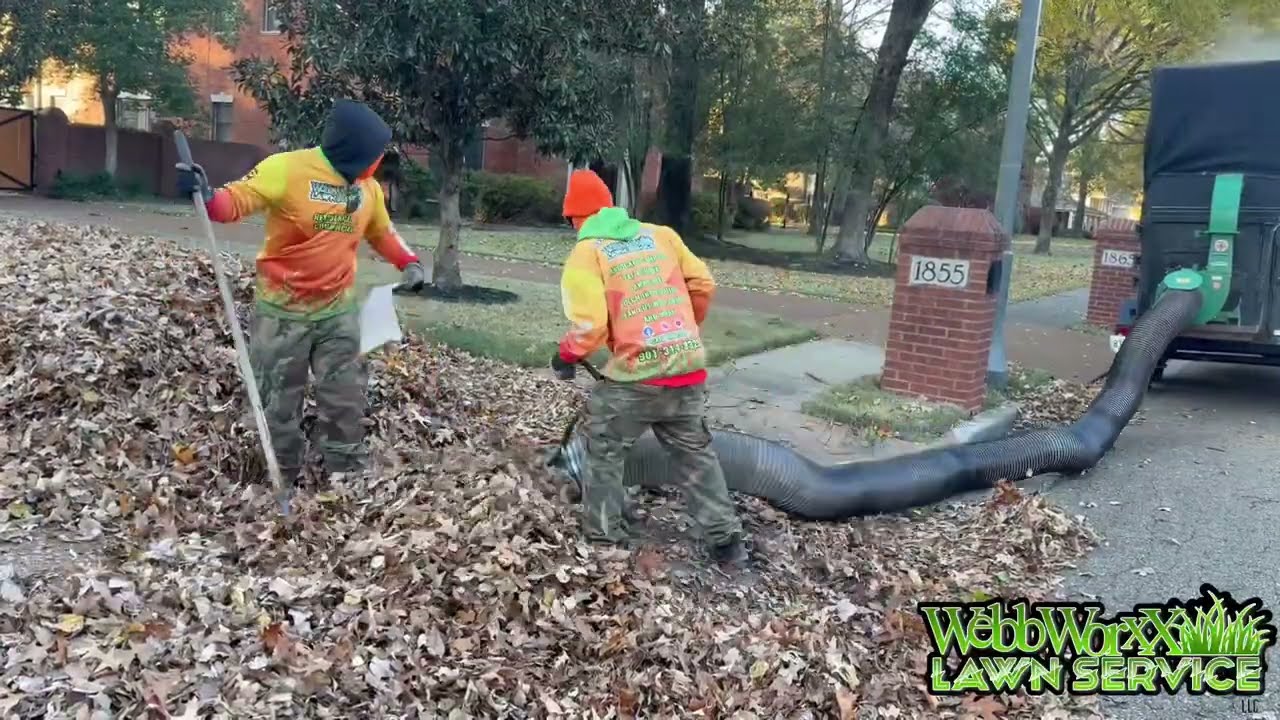 Leaf Removal