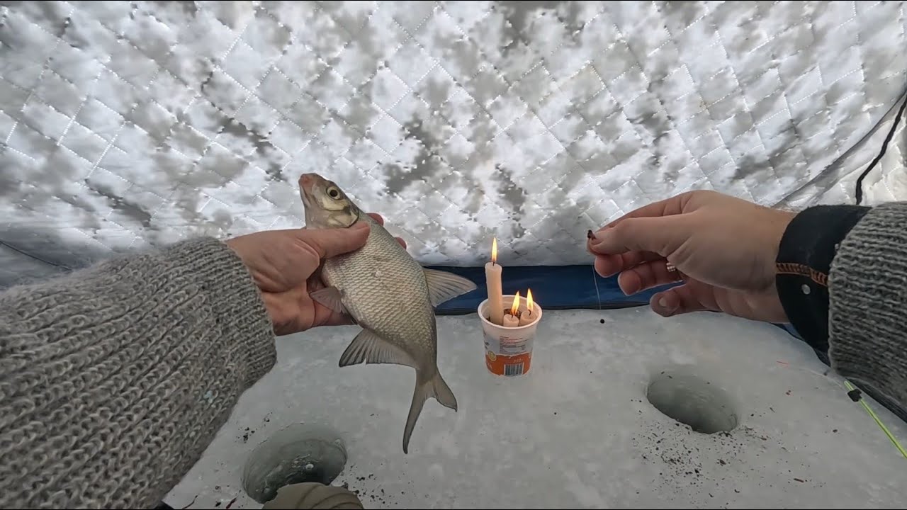 Зимняя рыбалка 2026 в буран Рыбалка 2026 Январь 2026 #зима2026 #рыбалка #fishing #зимняярыбалка #лещ