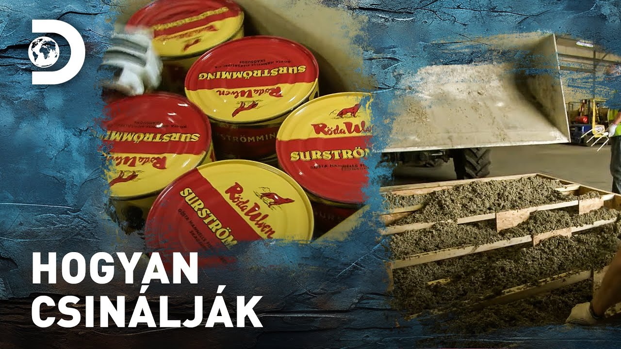 A világ legbüdösebb étele és egy fűraktár | Hogyan csinálják?