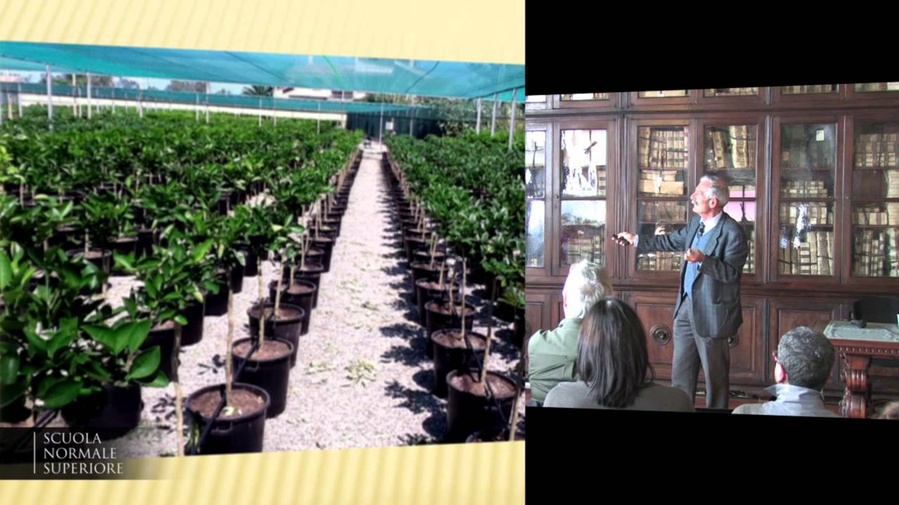 Giuseppe Macino, Epigenetica ed i piccoli RNA - Accademia dei Lincei e Scuola Normale - 10/03/2014