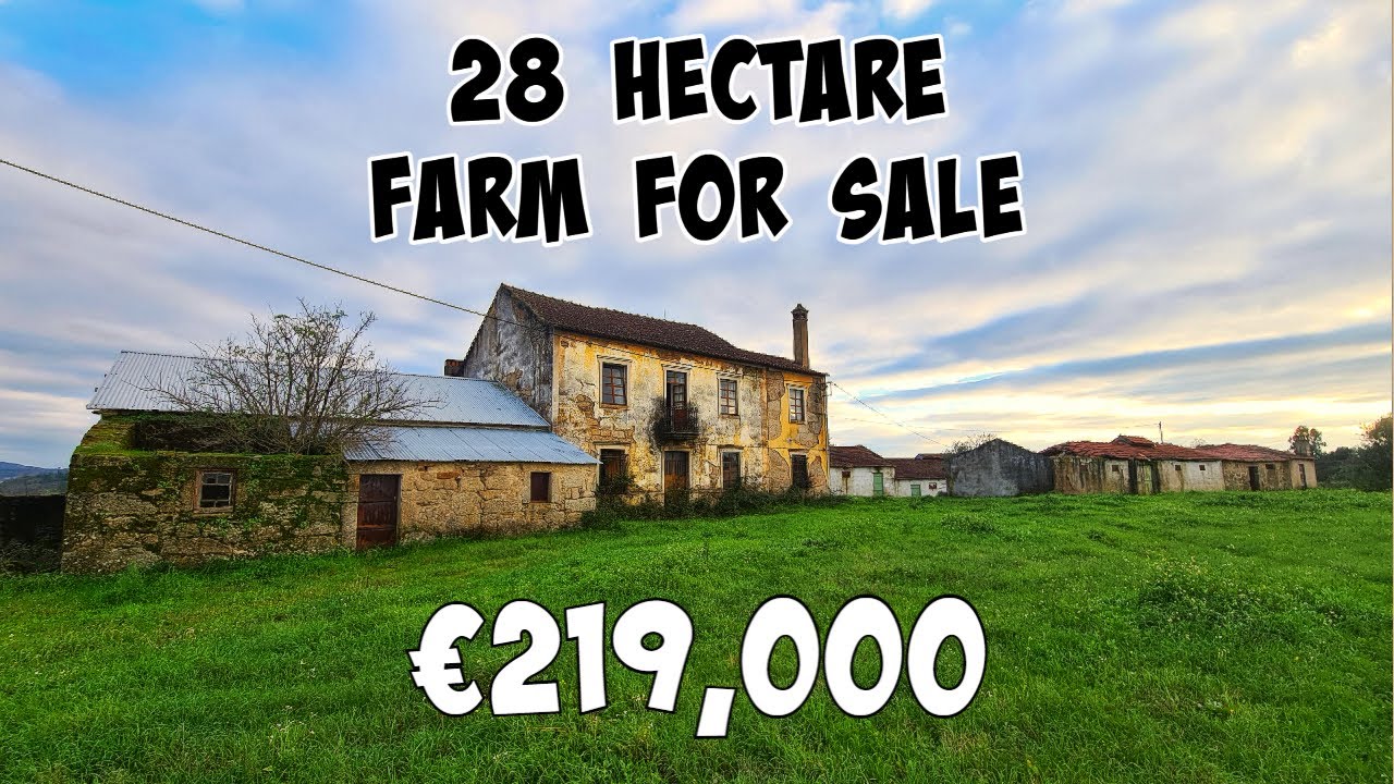 28 Hectare Farm For Sale - Virtual Tour - Belmonte, Portugal