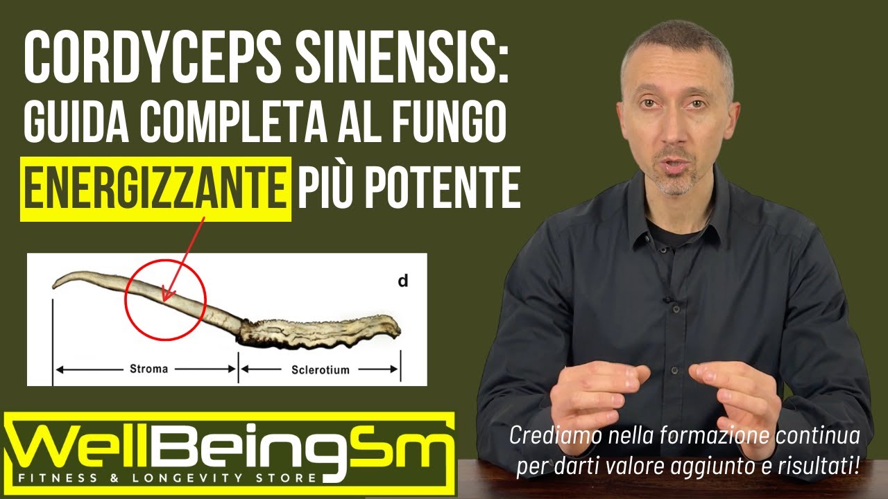 Cordyceps Sinensis: guida completa al fungo energizzante pi&ugrave; potente