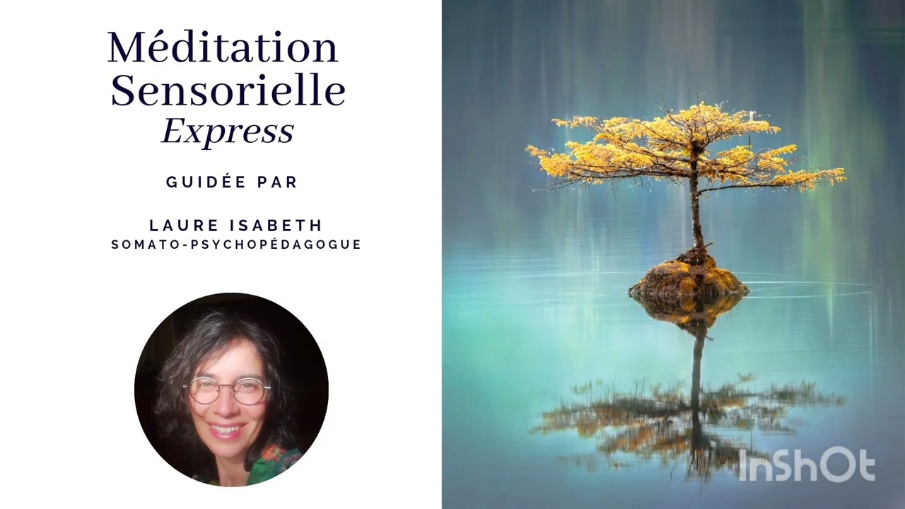 Méditation ExPress 12 min de pause. Rapide et efficace pour se ressourcer dans la journée.