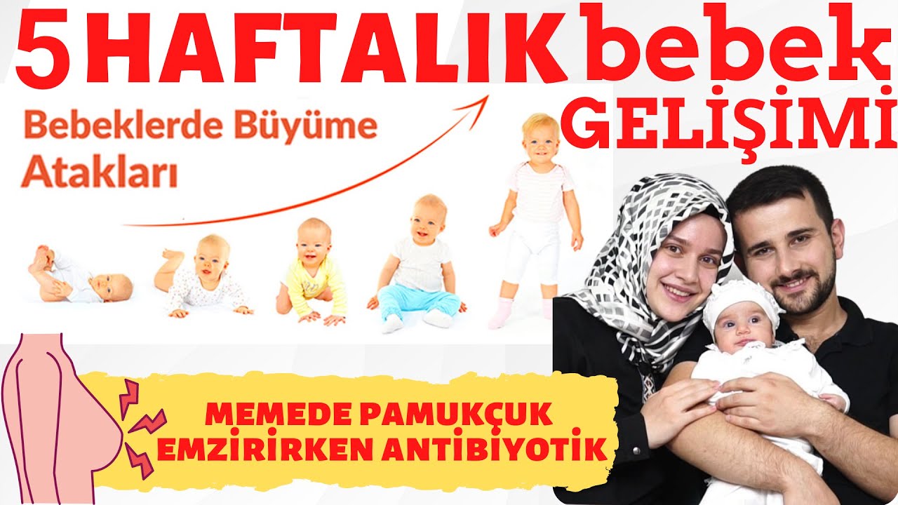 5 недель развития ребенка (ПОДРОБНОЕ ОБЪЯСНЕНИЕ) с @Rabia AHİN