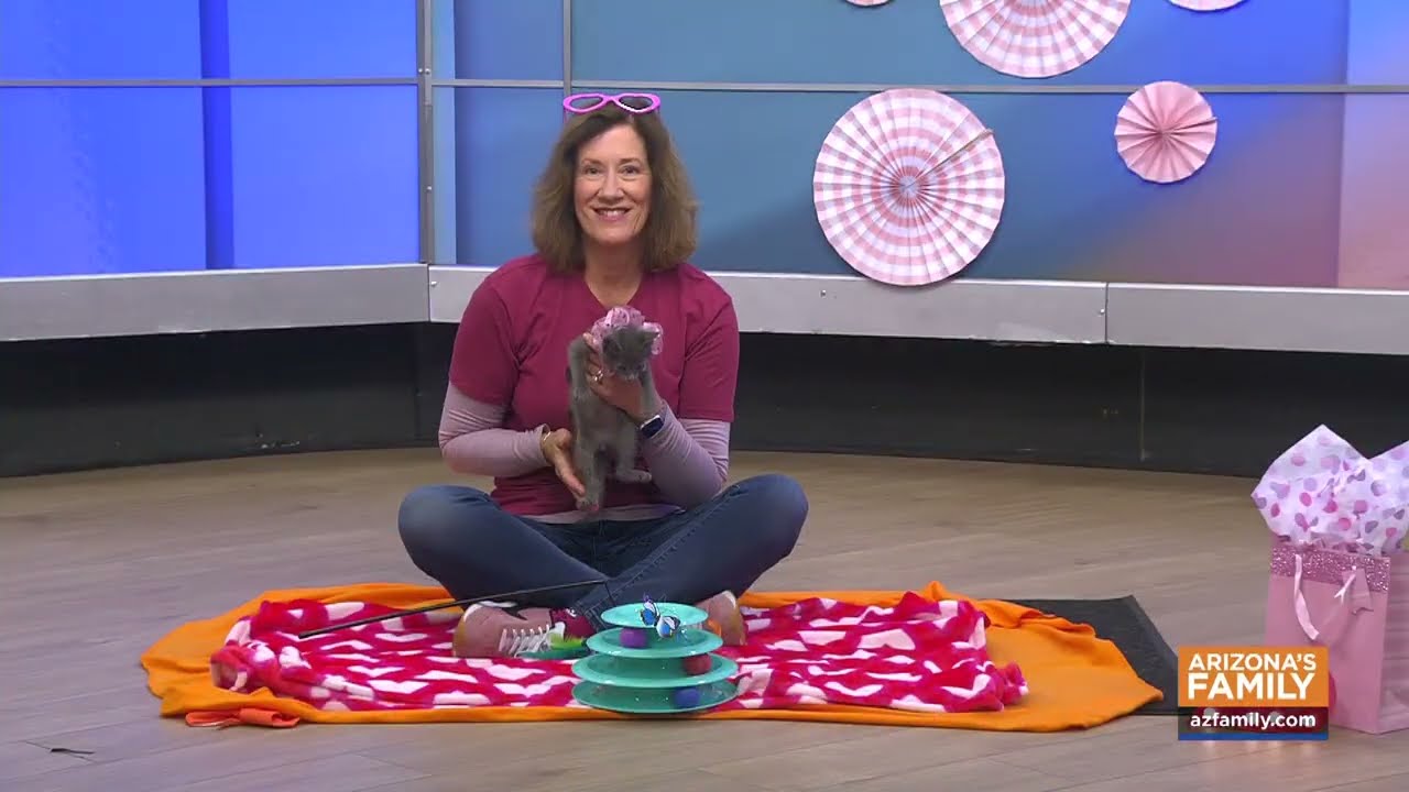 Pets on Parade (Full Episode) February 14, 2026