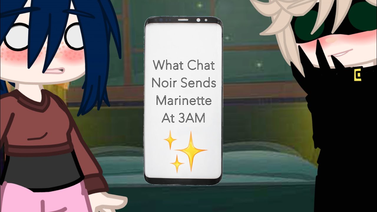 What Chat Noir Sends Marinette At 3AM