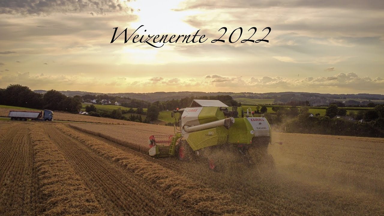 Weizenernte 2022 mit Claas Tucano 320 | 4K
