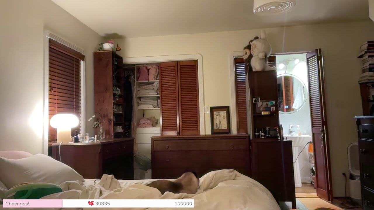 don’t miss stream