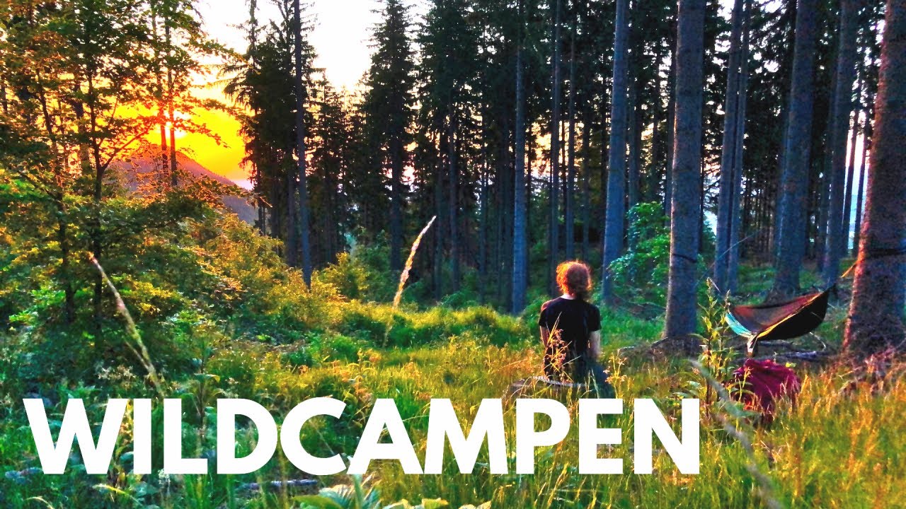 WILDCAMPEN in Polen - mit der HÄNGEMATTE im Wald 🌲