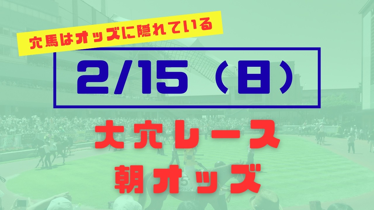 【大穴レース】本日の大穴レースの朝オッズ