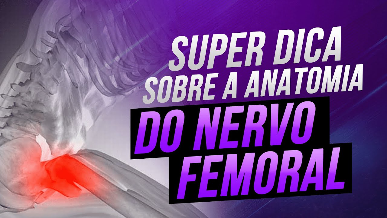 Super dica sobre a anatomia do NERVO FEMORAL