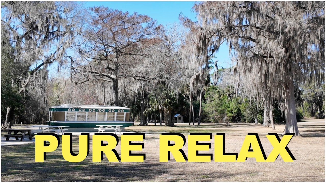 Ocala Florida:  Most Relaxing River in Florida | Silver Springs State Park