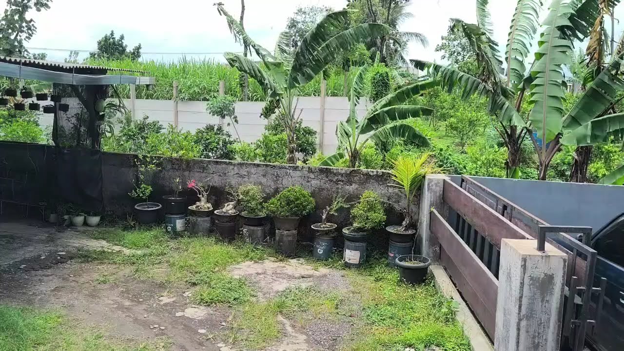 Ebiet G Ade - Lagu Terbaik Sepanjang Masa | Kompilasi Lagu Terbaik Indonesia #ebietgade