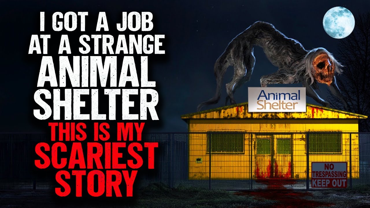 I Got a Job at a STRANGE Animal Shelter. This is my SCARIEST Story.