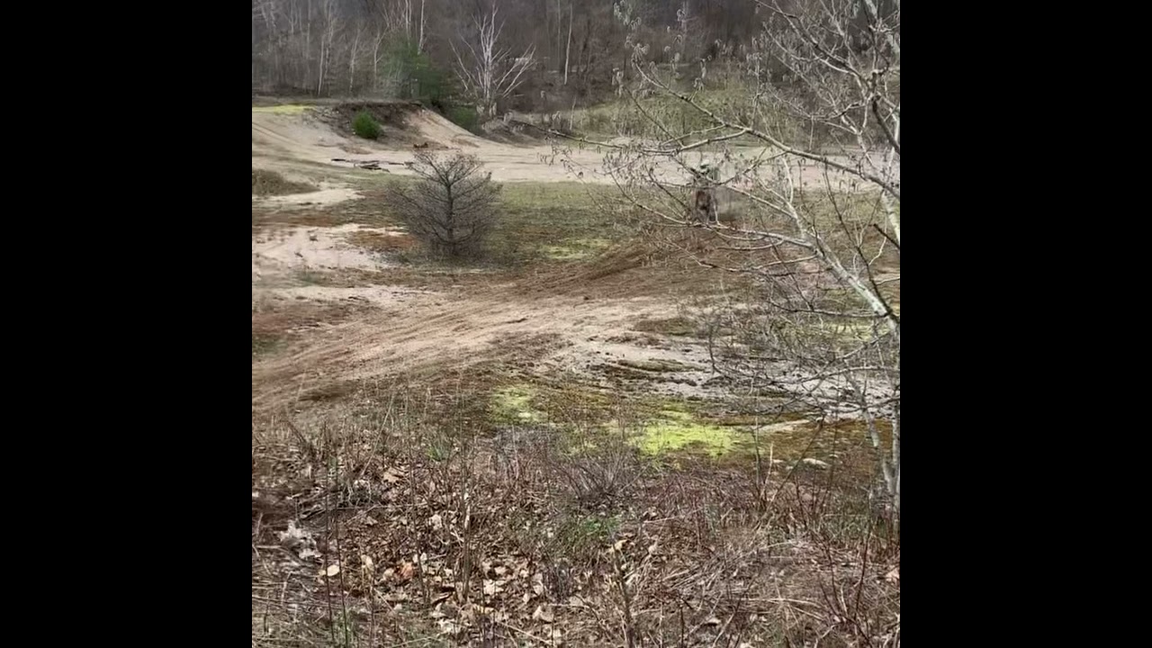 Ktm125sx huge boner air