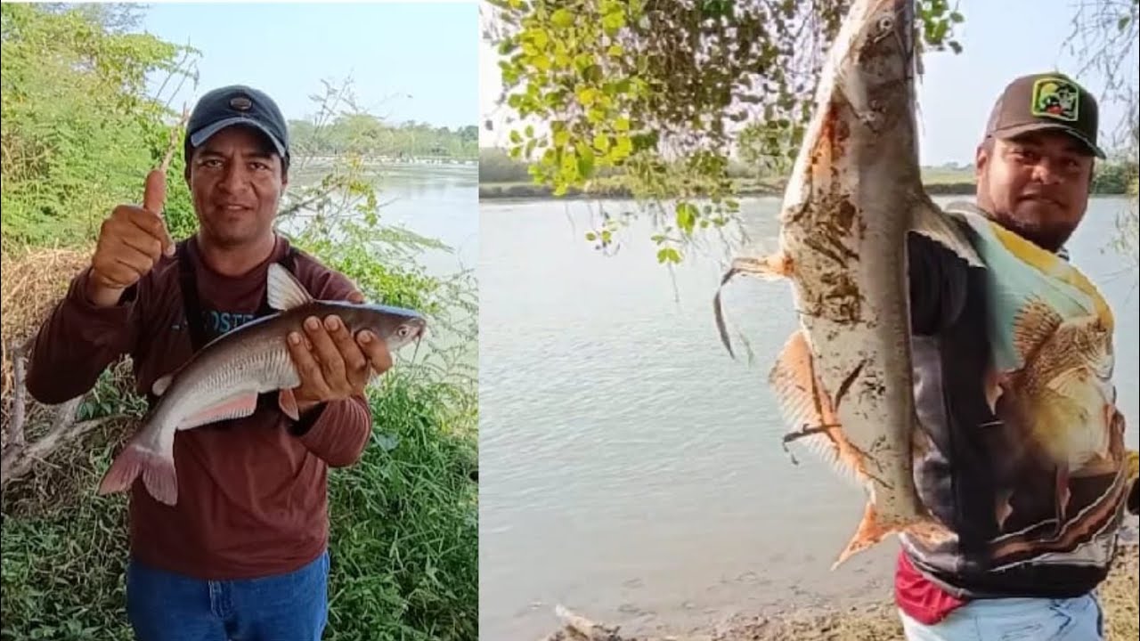 Pescando con Alonso y amigos 