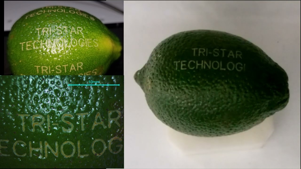 Laser Fruit Marking