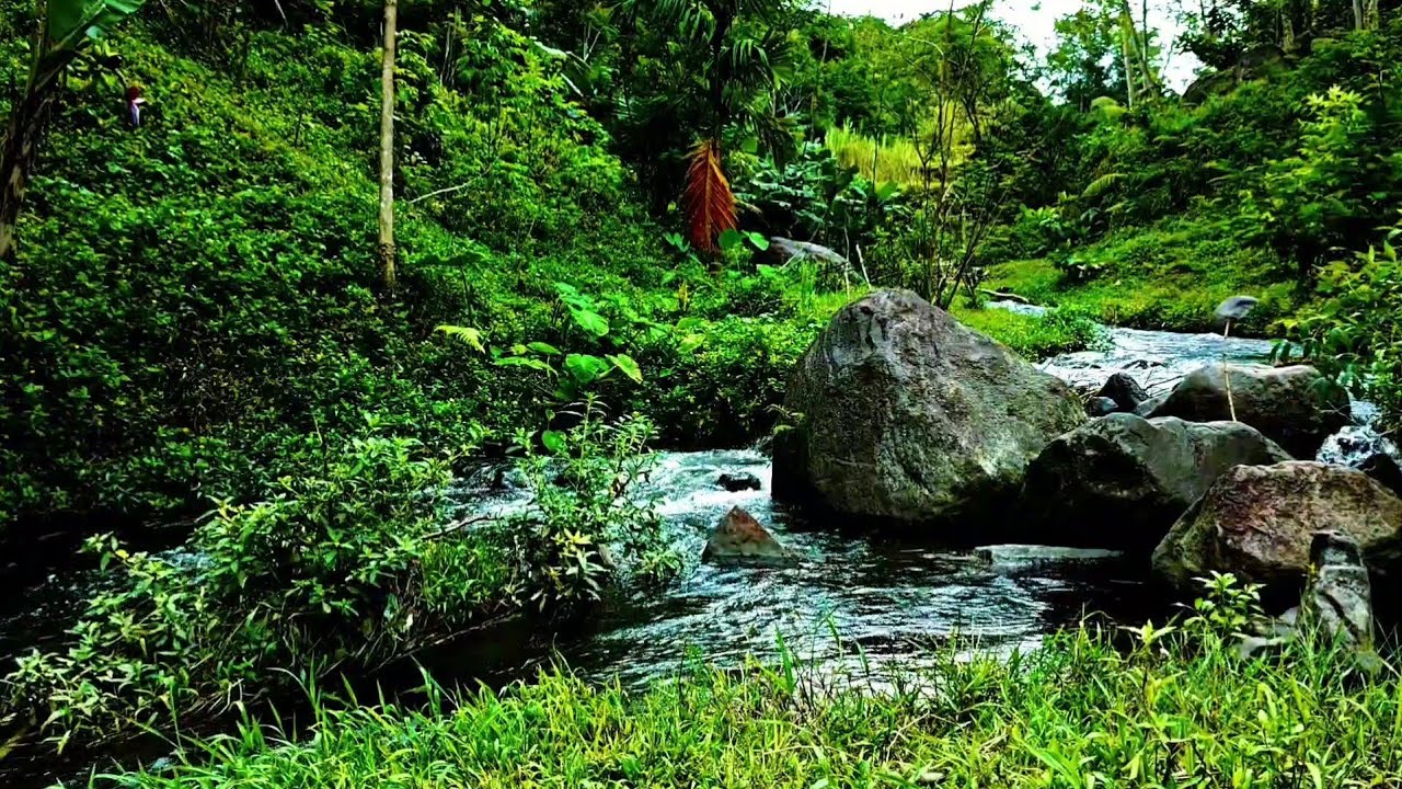 Relaxing River Sounds for Deep Sleep, Stress Relief & Meditation,River Sounds to Fall As