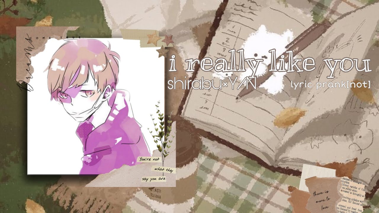 [I really like you|| Shirabu×Y/N|| Lyric prank(not)] haikyuu text||Y/N||Mushroom Sama♡