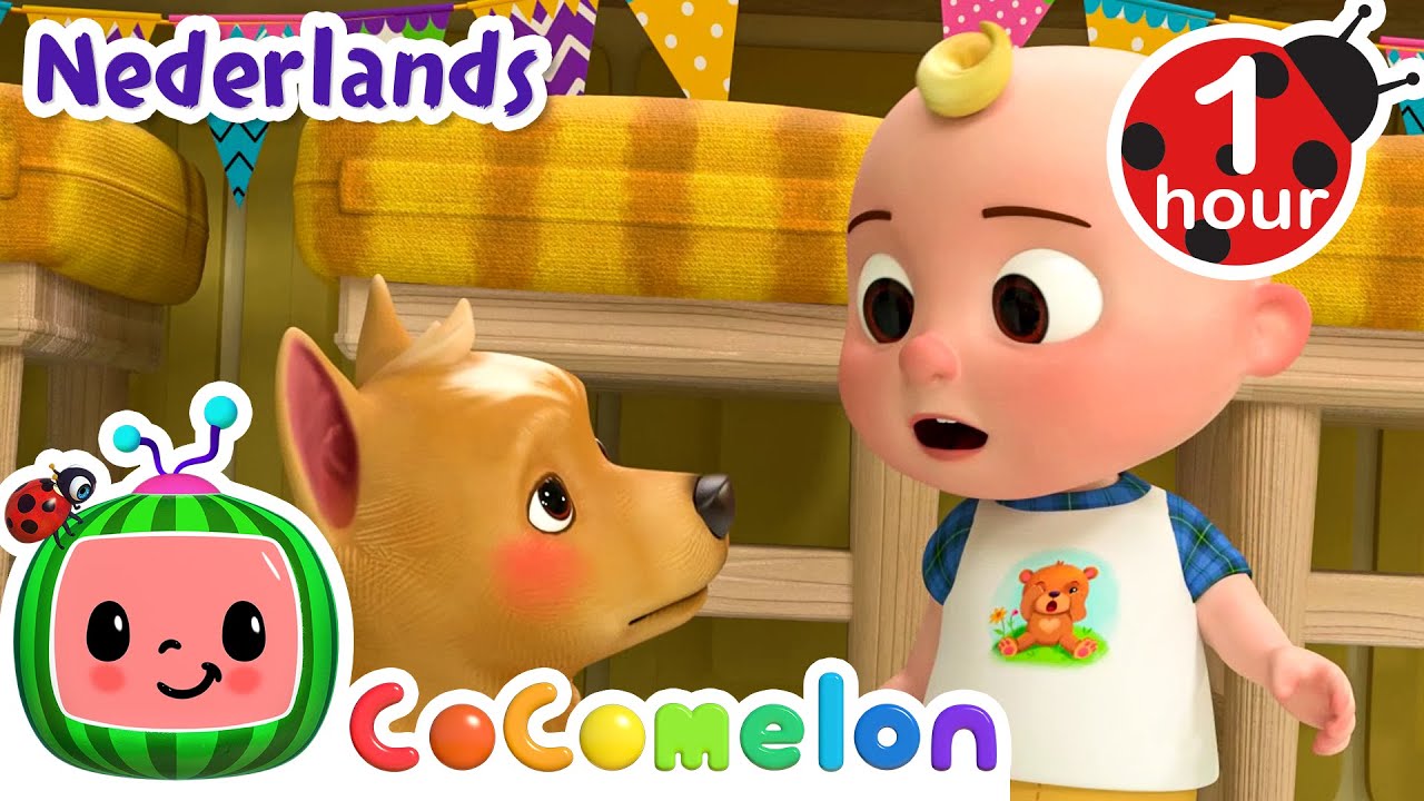 Zoek naar het hondenlied | CoComelon Nederlands - Kinderliedjes