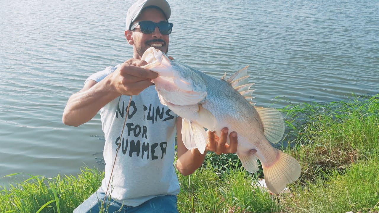 صيد قشر البياض بالطعم الحى موسم ٢٠٢١ مع شرح العده وطريقه الصيد