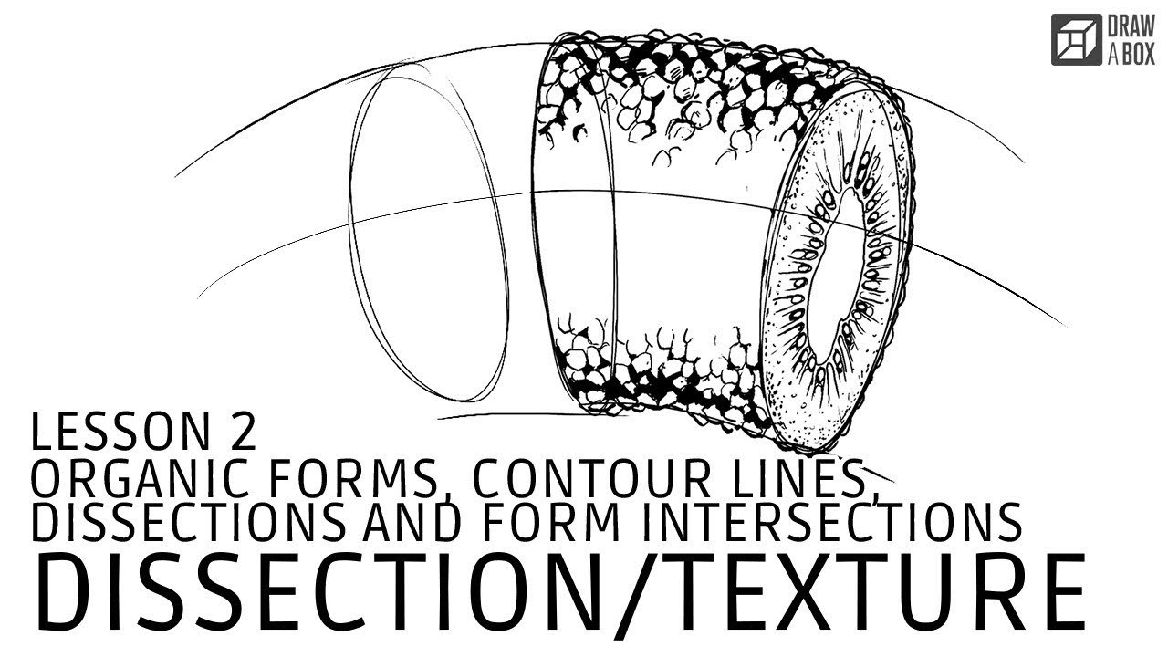 Drawabox Lesson 2, Exercise 4: Dissections