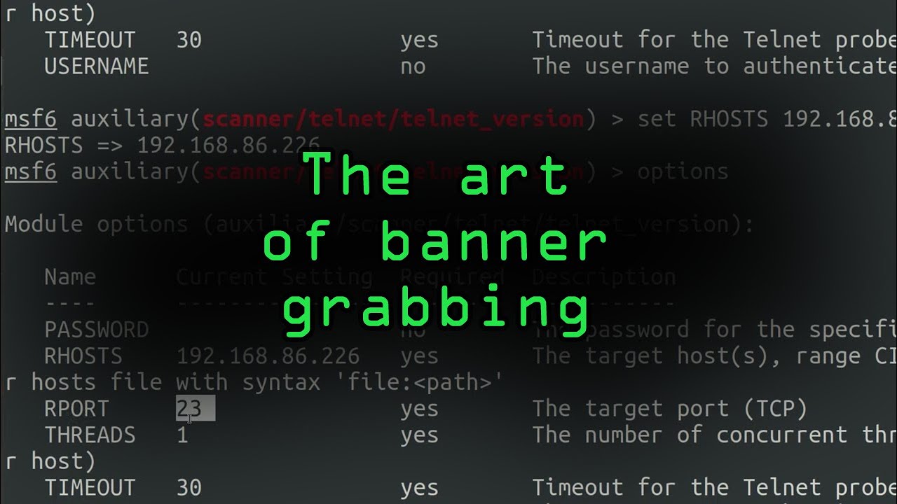 How Hackers Can Steal Information from Computers Using Banner Grabbing