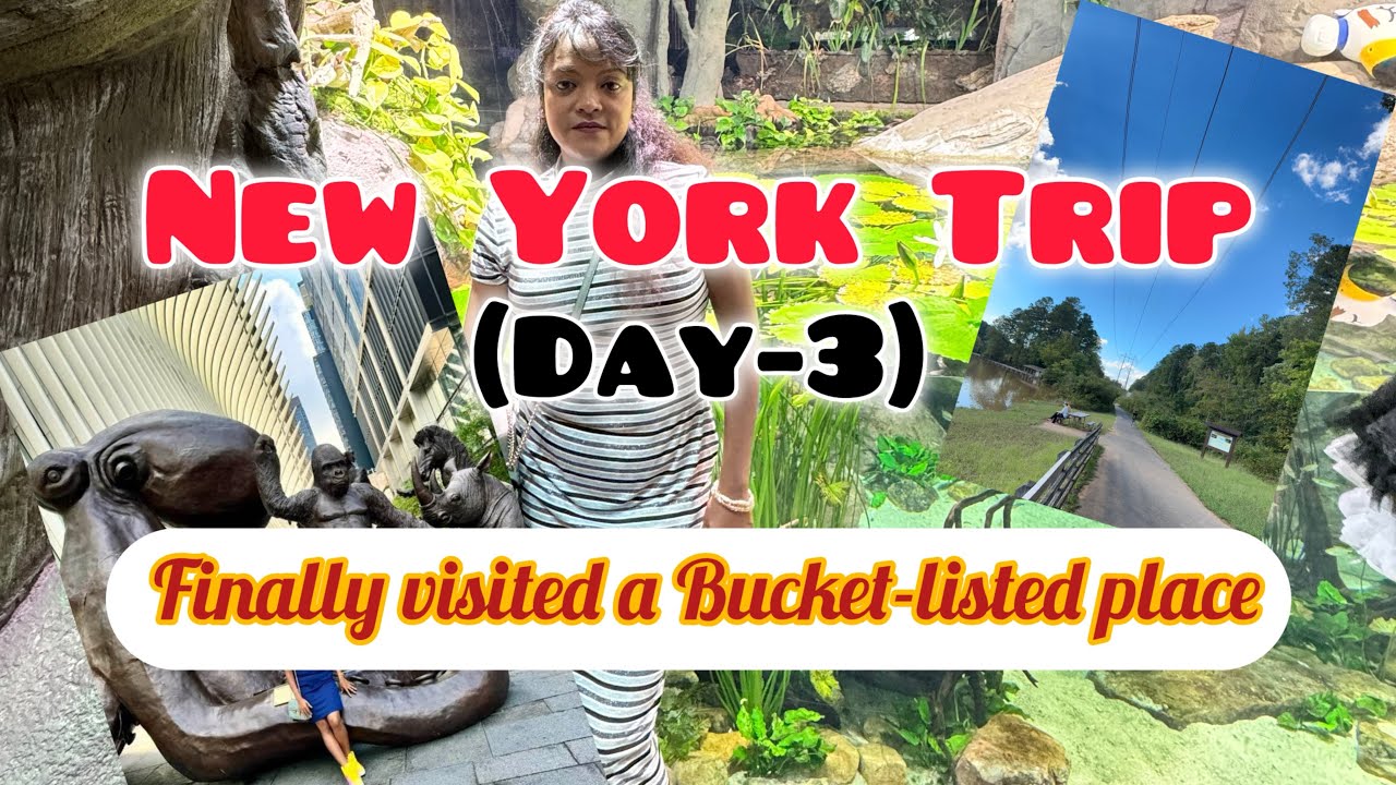 New York Trip।। Day-3।।চলো দেখে আসি কোথায় কোথায় ঘুরলাম।।U.S.A Bangla Vlog।।