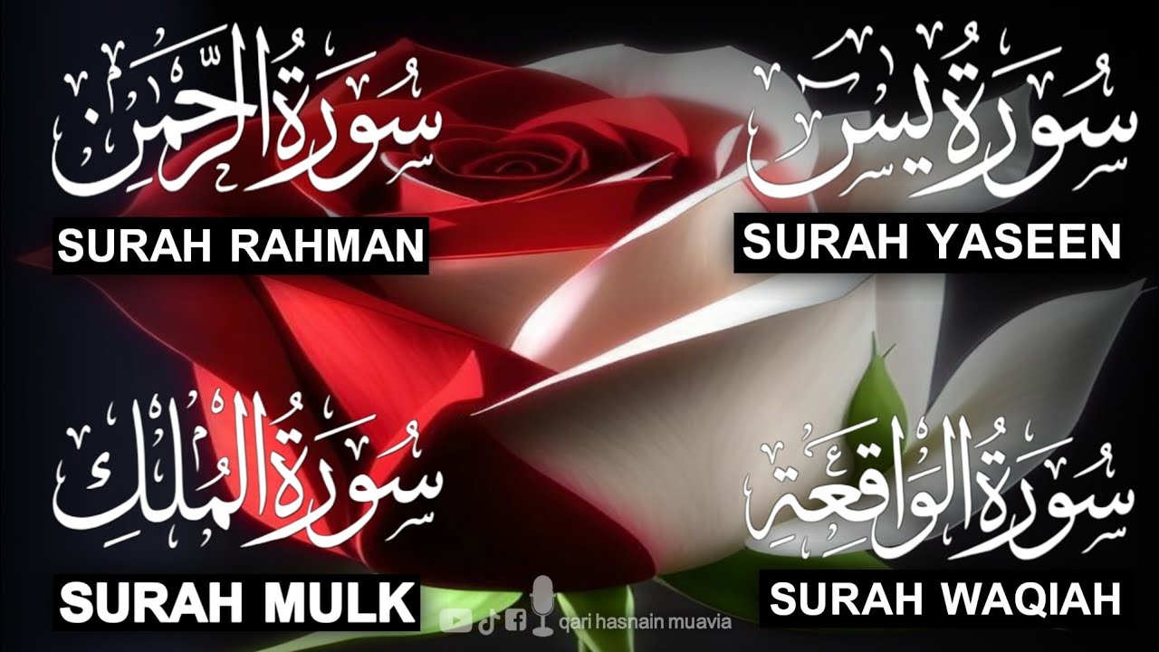 Surah Yasin ❤️ Surah Rahman , Surah Waqiah , Surah Mulk | Ep 317,یس