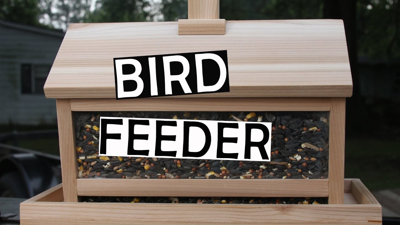 BUILDING A BIRD FEEDER