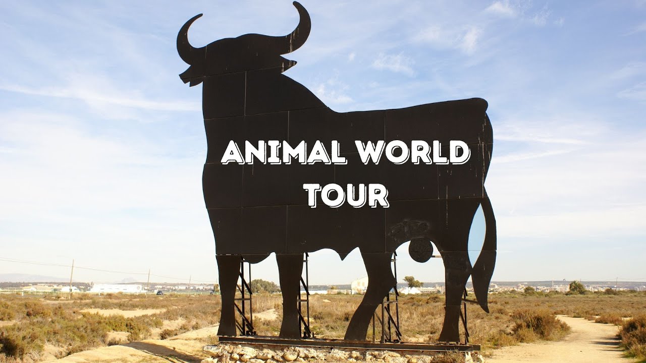 Animal World Tour: Discovering Wildlife In Spain !