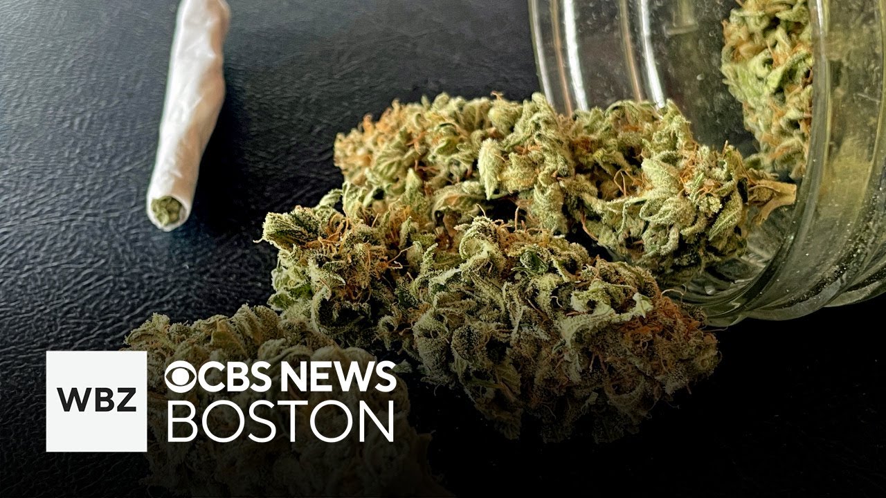 Law enforcement group alleges fraud, THC inflation in Mass. cannabis industry