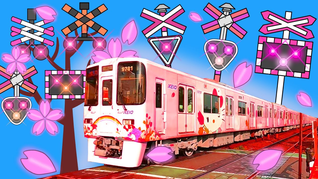 【電車】踏切 アニメ【鉄道 ふみきり】Train & Railroad crossing ハローキティ京王線