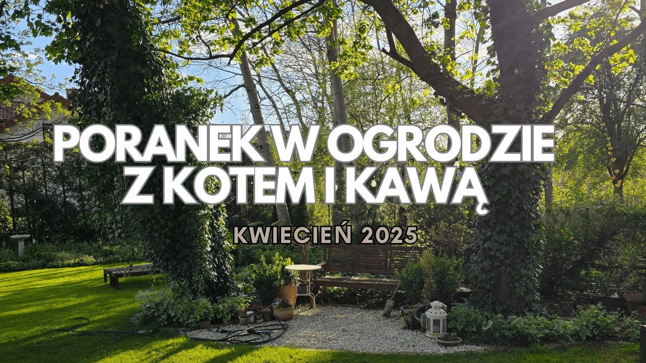 Poranek w ogrodzie z kotem i kawą | Co nowego na tarasie? | Garden tour