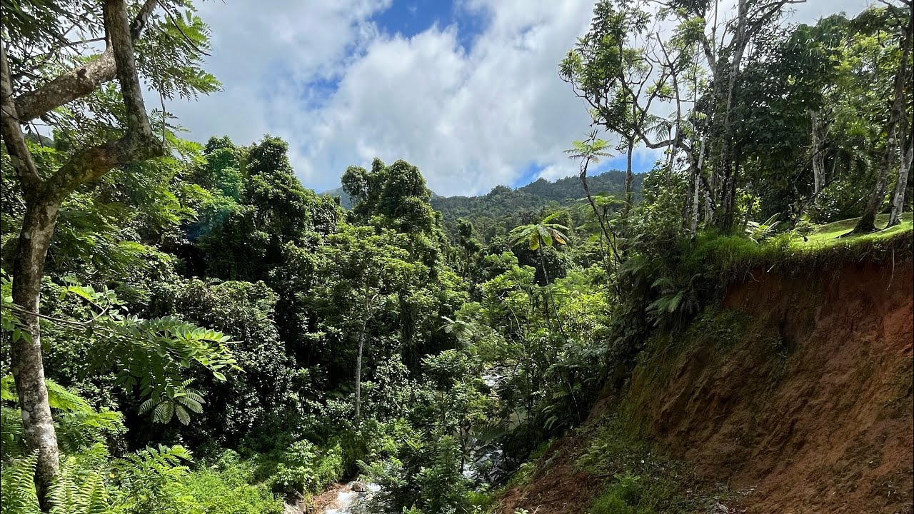 Wainadoi Zipline - Princess Cruises Shore Excursions - Suva, Fiji