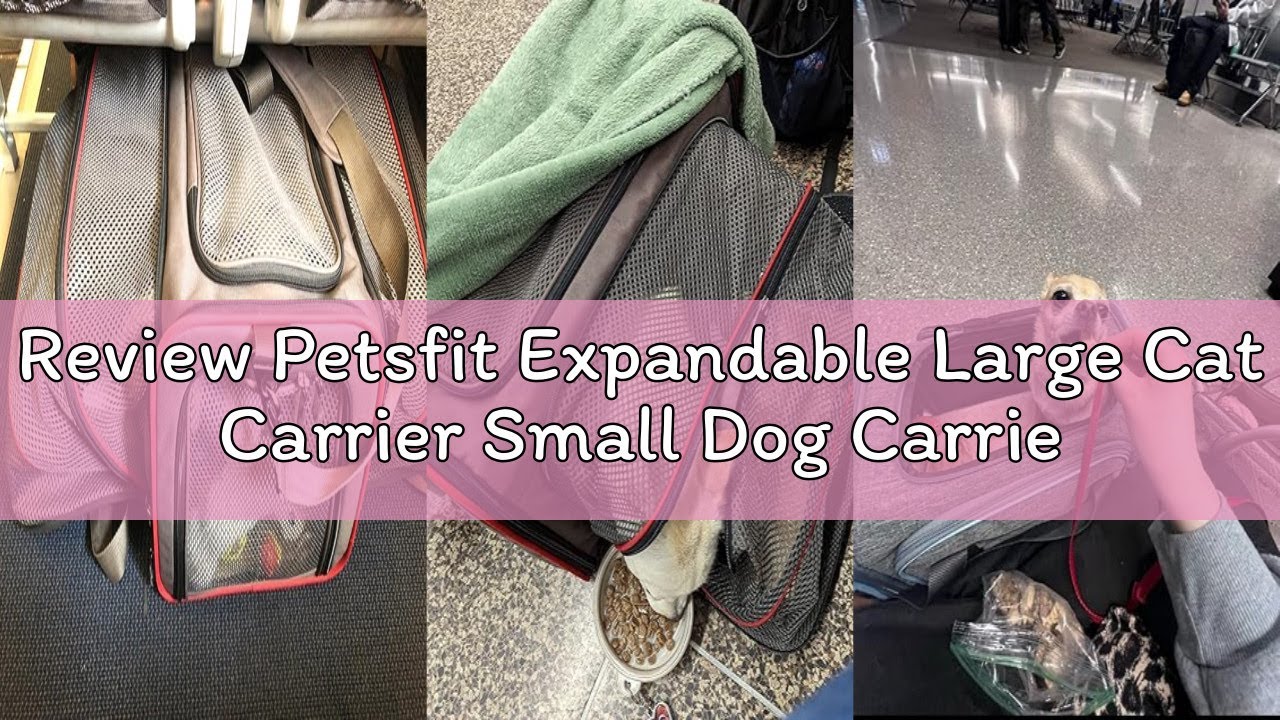 Review Petsfit Expandable Large Cat Carrier Small Dog Carriers Airline Approved, 17